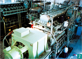 Diesel Engine Generator Set for Power Plants