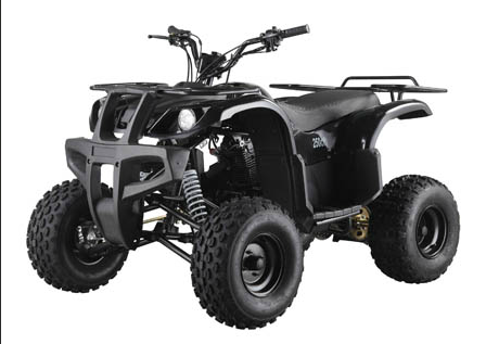 Utility All-Terrain Vehicle with Cargo Racks