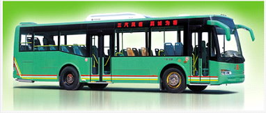 City Bus for Urban Transportation