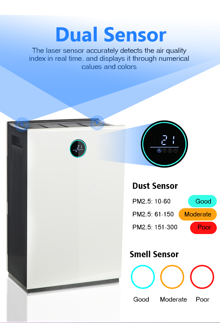 Dual sensor system for air quality monitoring
