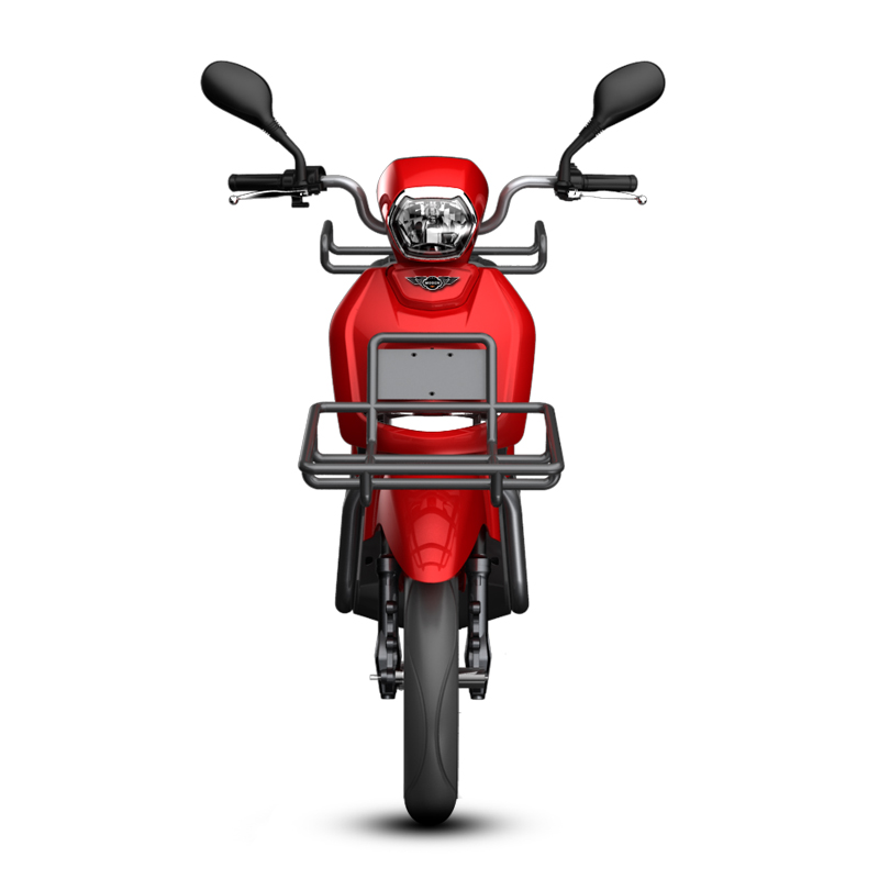 Electric Food Delivery Scooter