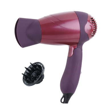 Professional Hair Dryer with Attachments
