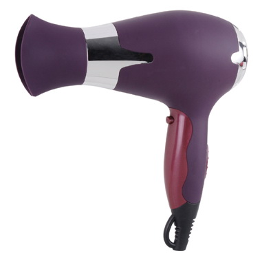 Professional Hair Dryer with Concentrator Nozzle