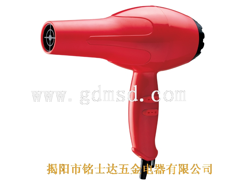 High-Performance Hair Dryer with Concentrator Nozzle