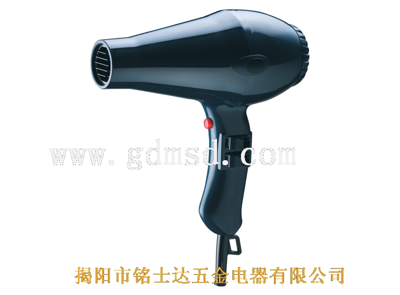 Professional Hair Styling Dryer