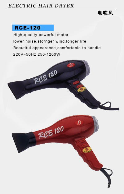 Electric Hair Dryer with Adjustable Heat Settings