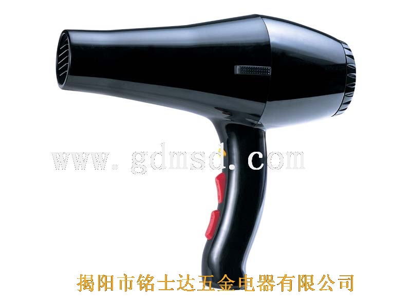 Professional Hair Dryer with Heat and Speed Settings