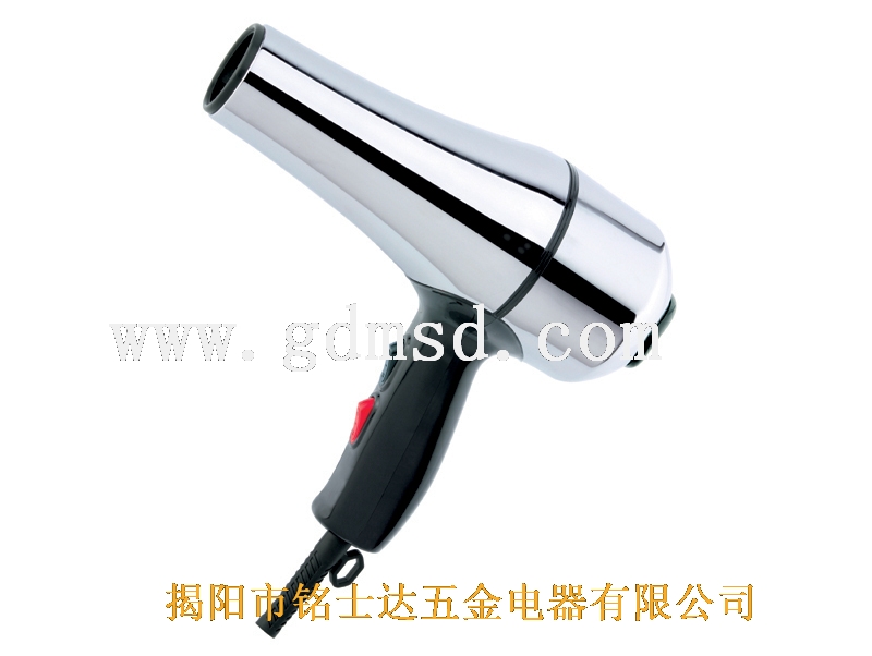Professional Hair Dryer with Multiple Settings