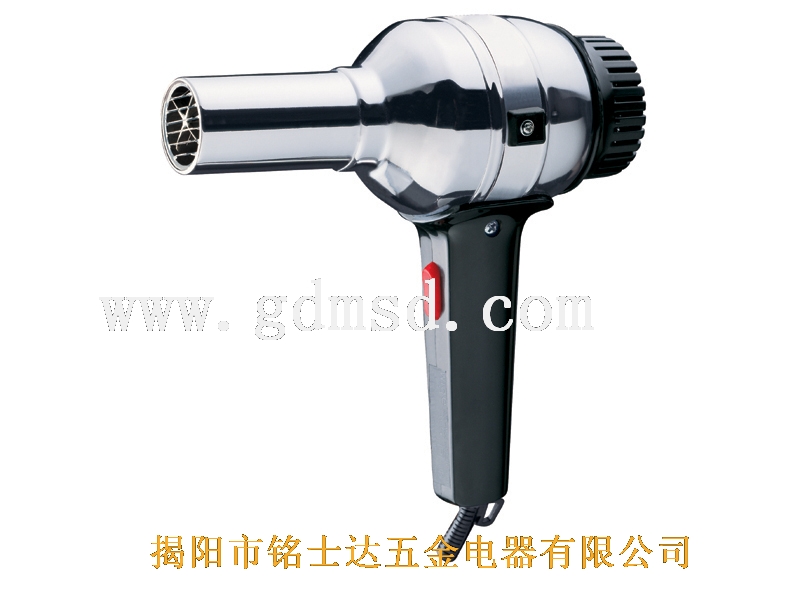 Professional Grade Hair Dryer with Concentrator Nozzle