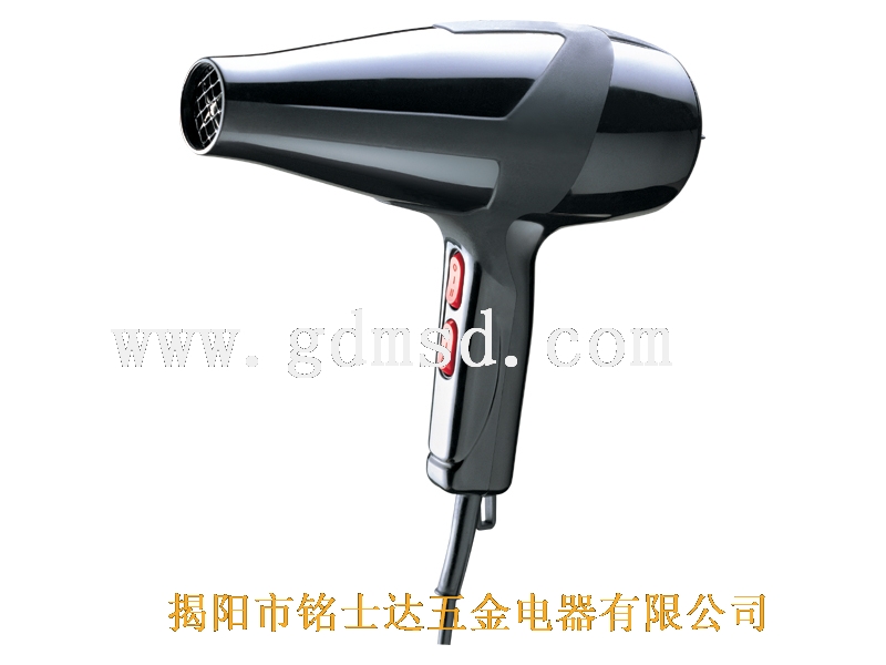 Professional Hair Dryer with Concentrator Nozzle