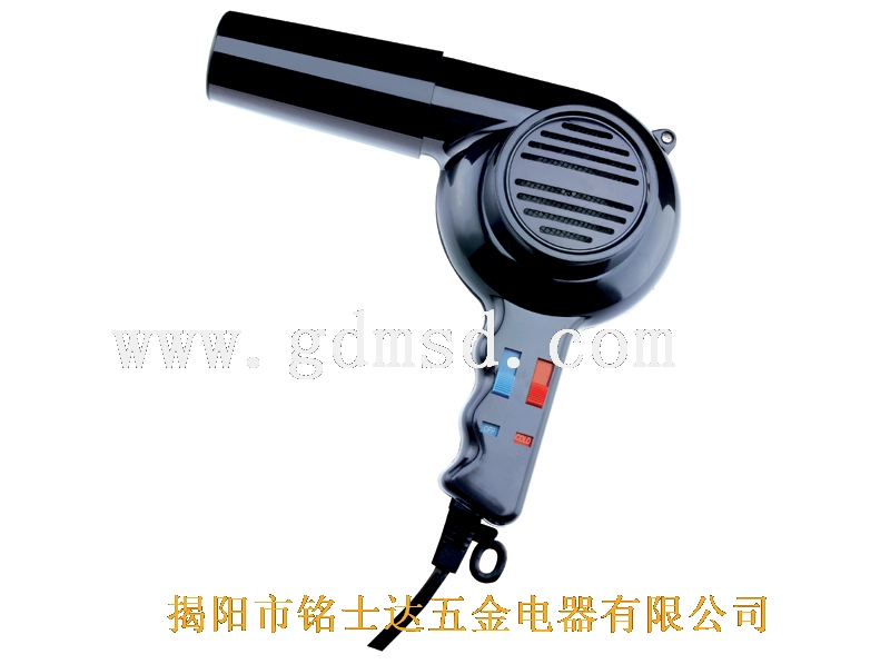 Professional Salon Hair Dryer
