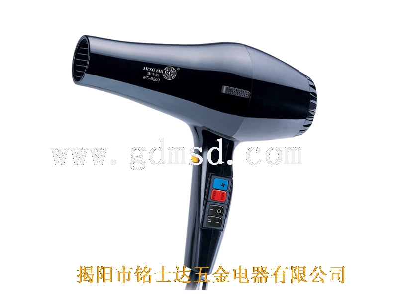 Professional Hair Dryer with Multiple Settings