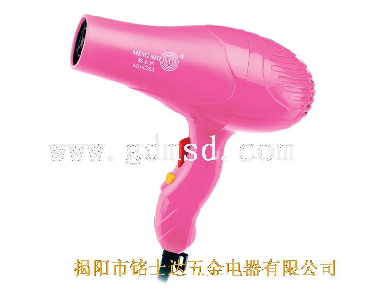 Professional Hair Dryer with Adjustable Settings