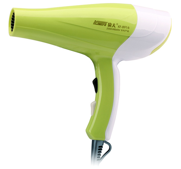 2000W Professional Hair Dryer with Adjustable Settings