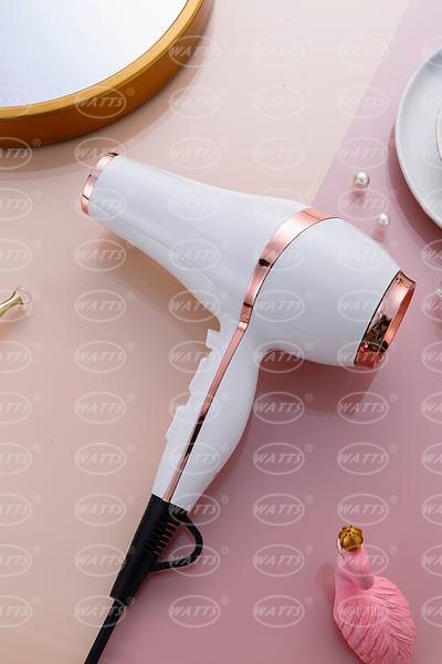 Professional Ionic Hair Dryer