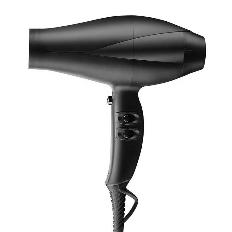 Professional Hair Dryer with Multiple Settings