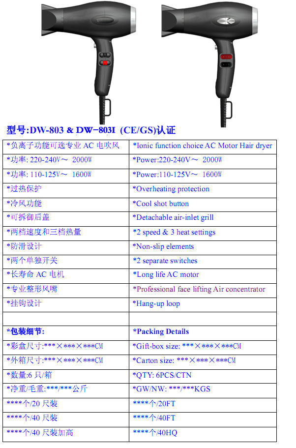 Professional AC Motor Hair Dryer