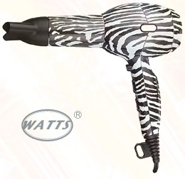Professional Hair Dryer with Concentrator Nozzle
