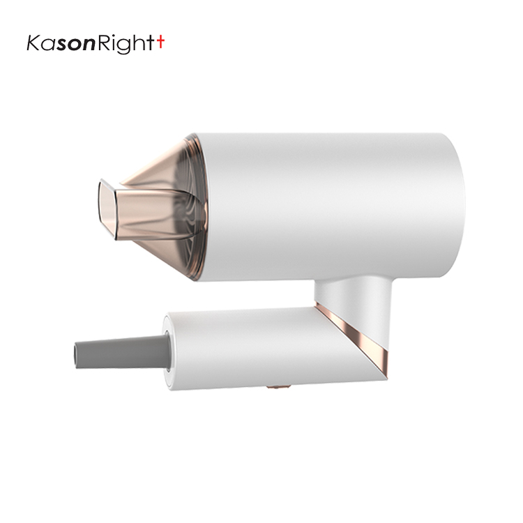 Professional Ionic Hair Dryer