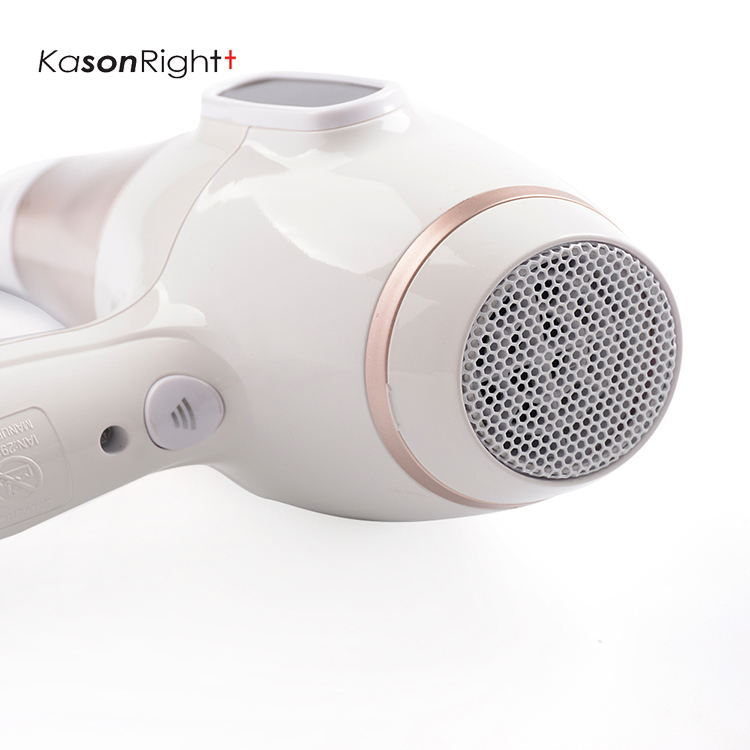 Professional Hair Dryer with Multiple Settings
