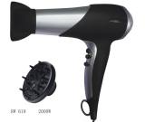 2000W Professional Hair Dryer with Speed and Temperature Settings