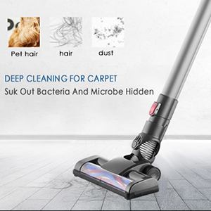 Vacuum cleaning pet hair and dust from carpet