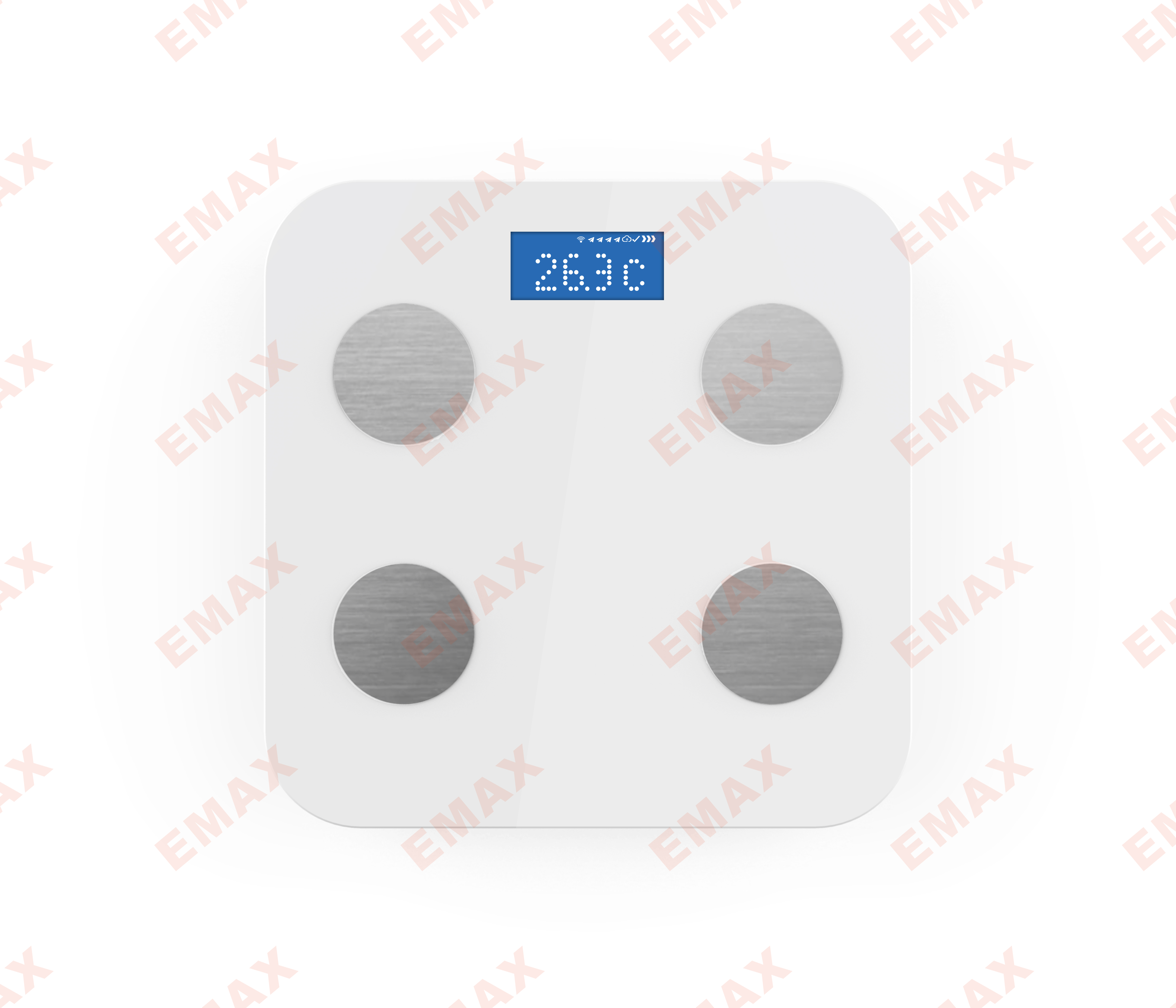 Healthy Scale - Image 2