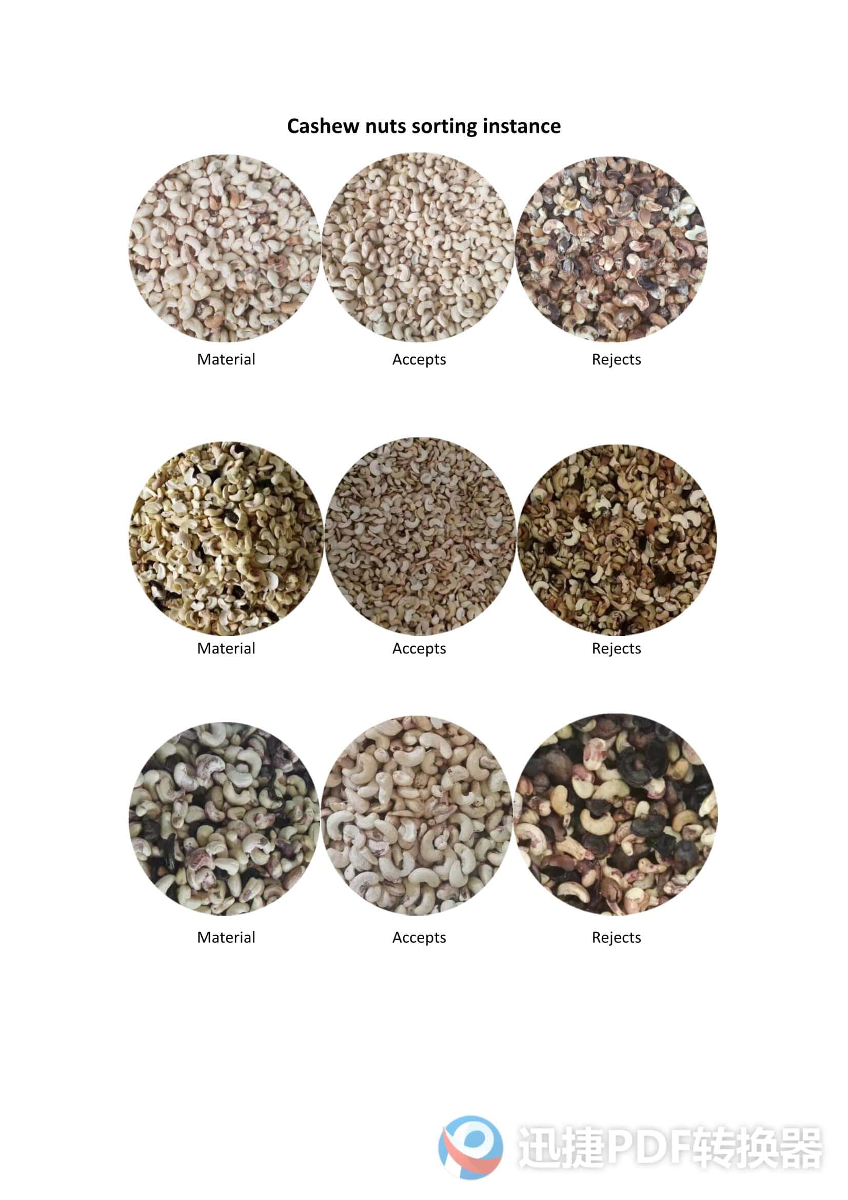Cashew nuts sorting process showing raw material, accepted, and rejected categories.