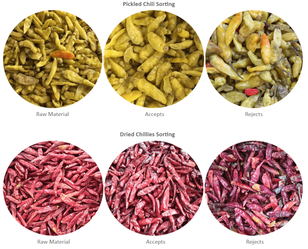 Visual representation of pickled and dried chili sorting process