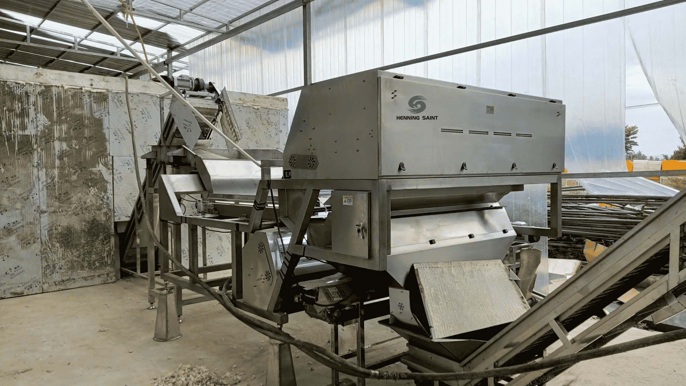 Garlic Color Sorter with Intelligent Software