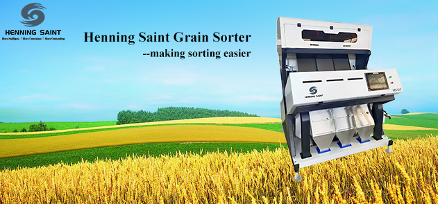 Grain Color Sorting Machine with AI