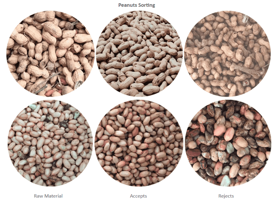 High-precision peanut sorting machine diagram showing input and output streams.