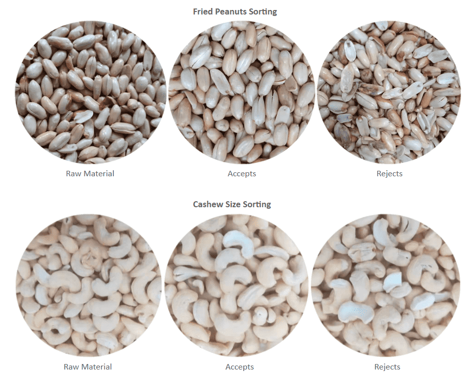 Fried peanuts and cashews sorting process showing raw material, accepts, and rejects.