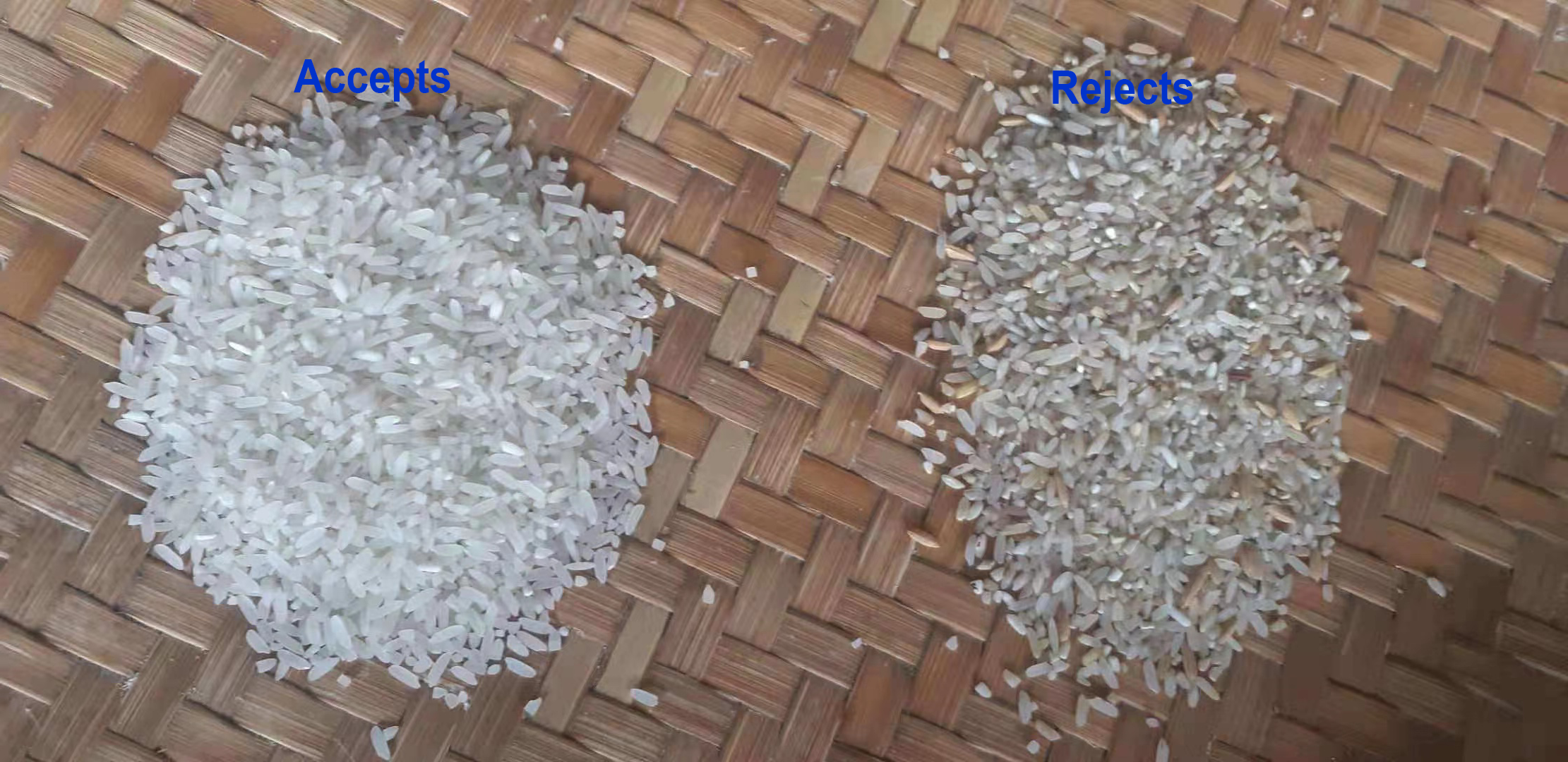 Diagram showing the separation of accepted and rejected rice grains