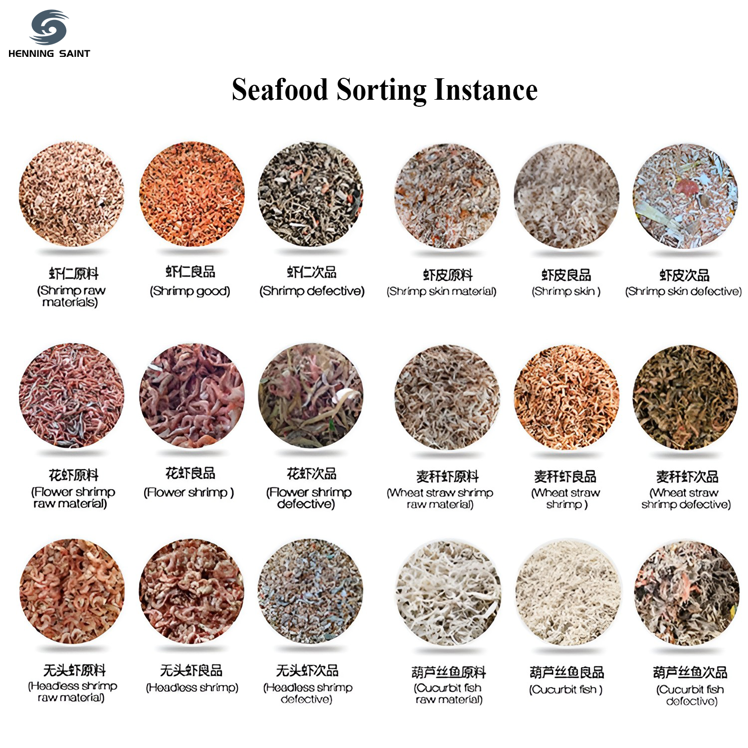 Diagram showing the sorting process for various seafood types like shrimp and fish