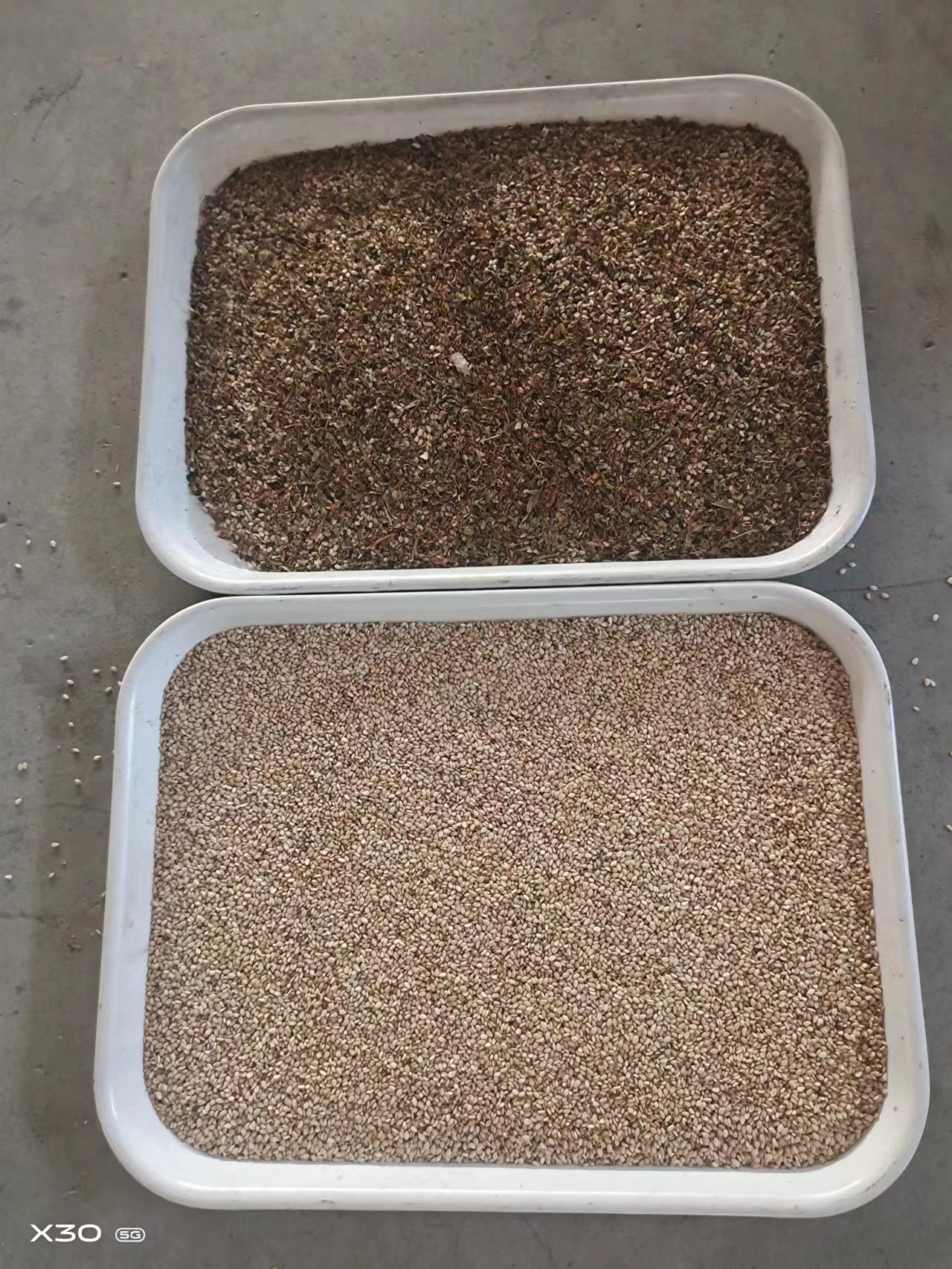 Sesame seed color sorting machine unit