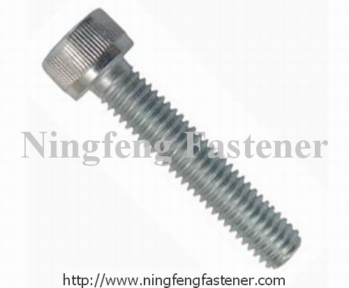 Hex Socket Head Cap Screw
