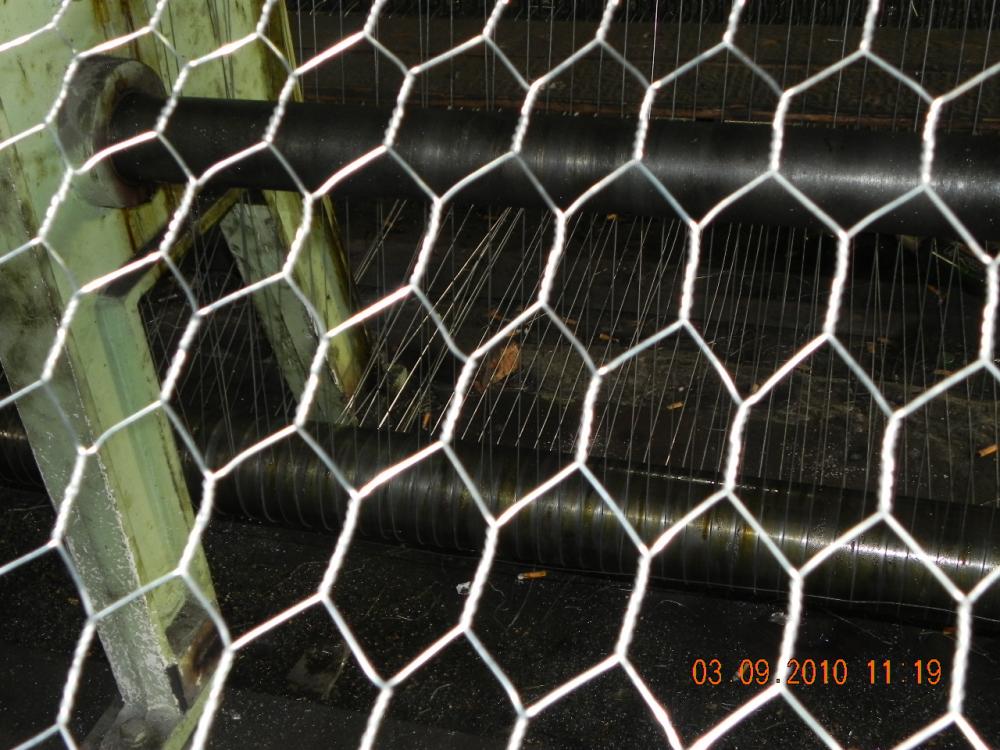 Hexagonal Wire Mesh - Image 3