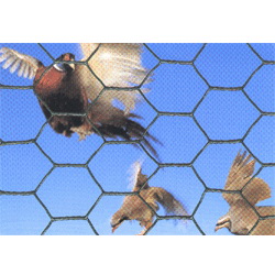 Hexagonal Mesh Wire Fencing