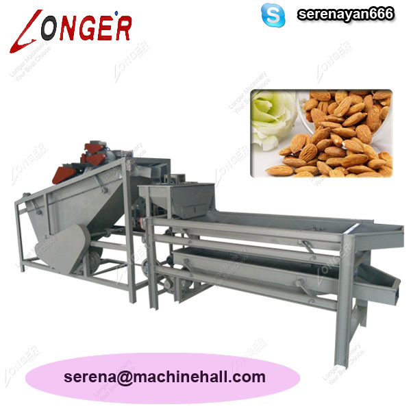 High Efficiency Almond Processing Machine Line|Good Quality Apricot Sheller Machine for Sale - Image 3