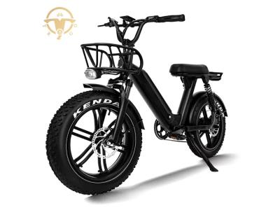 High Performance 20 Inch 750W Full Suspension Electric Fat Tire Electric Bike for Adult - Image 3
