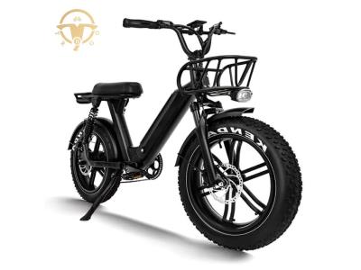 Adult Electric Fat Tire Bike with Full Suspension