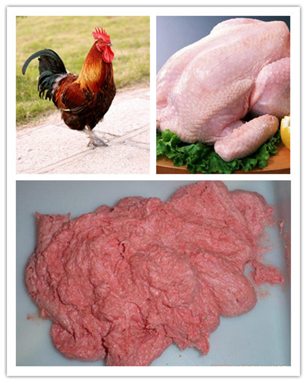 Poultry Meat-Bone Separator