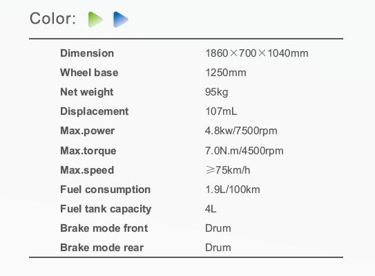 Technical datasheet for the HJ110-5 motorcycle