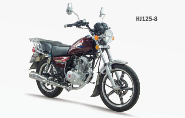 Side profile view of the HJ125-8 motorcycle showing its compact design and luggage rack
