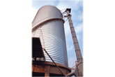 Grain Storage Silo with Elevator System