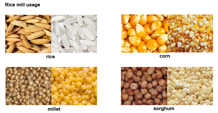 Various grains processed by the rice mill