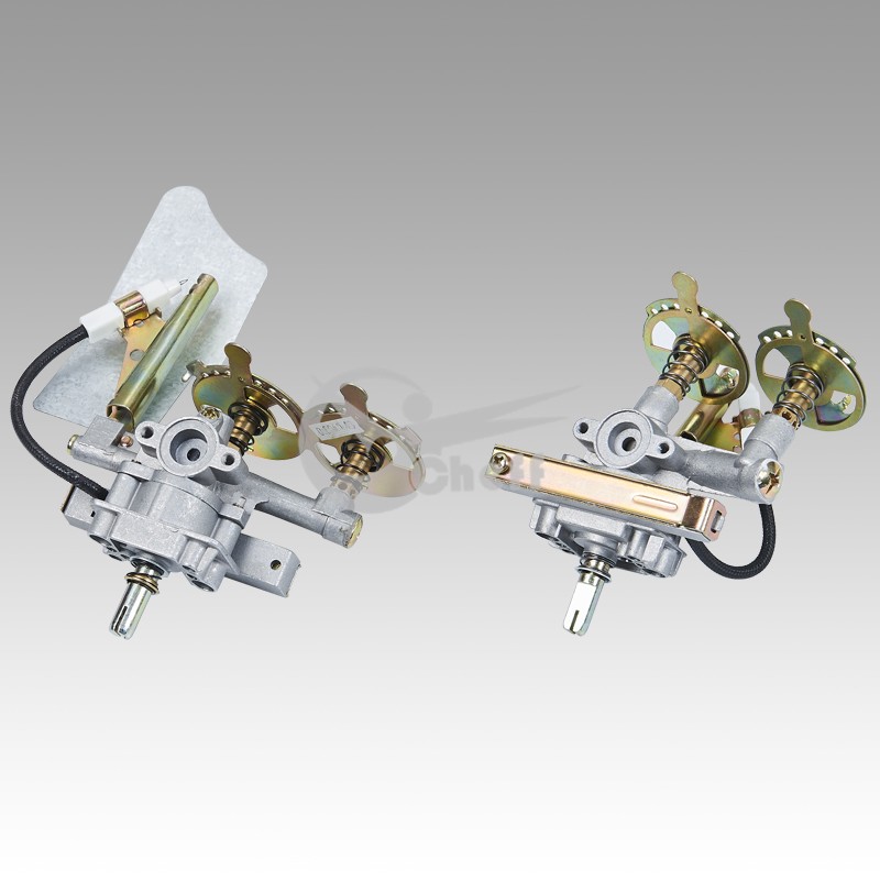 Internal gas valve and burner assembly