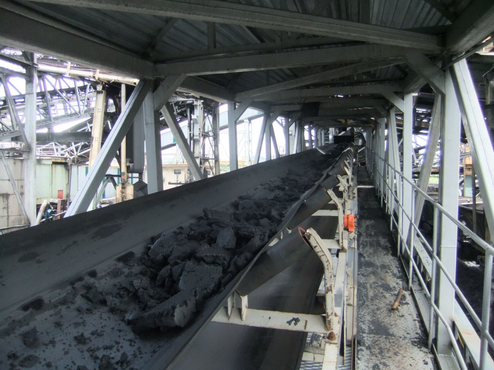 Coal Washing System