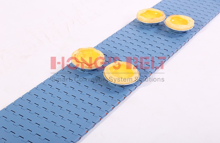 HONGSBELT HS-1000A Flat top modular plastic conveyor belt for food industry - Image 2